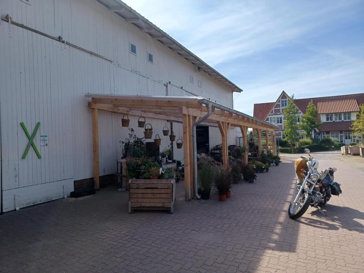 Ferienwohnung Am Elbstrom シュターデ エクステリア 写真