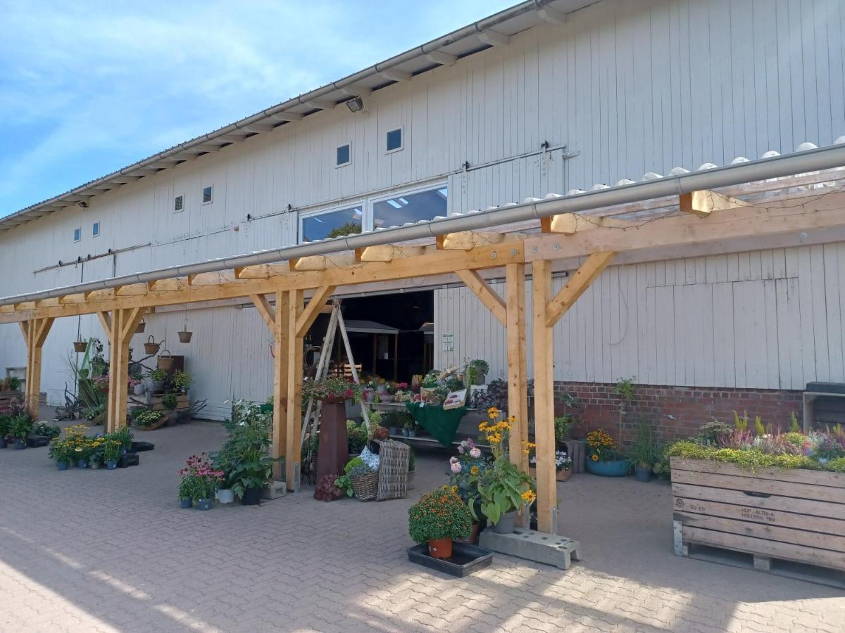 Ferienwohnung Am Elbstrom シュターデ エクステリア 写真